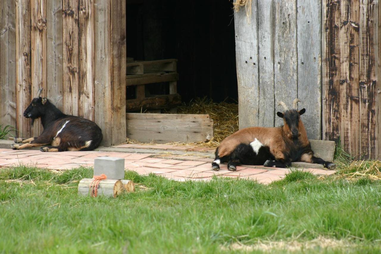 Chez Loupi Hébergement de vacances Épaignes
